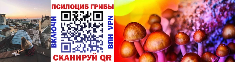 Псилоцибиновые грибы GOLDEN TEACHER  Бикин 